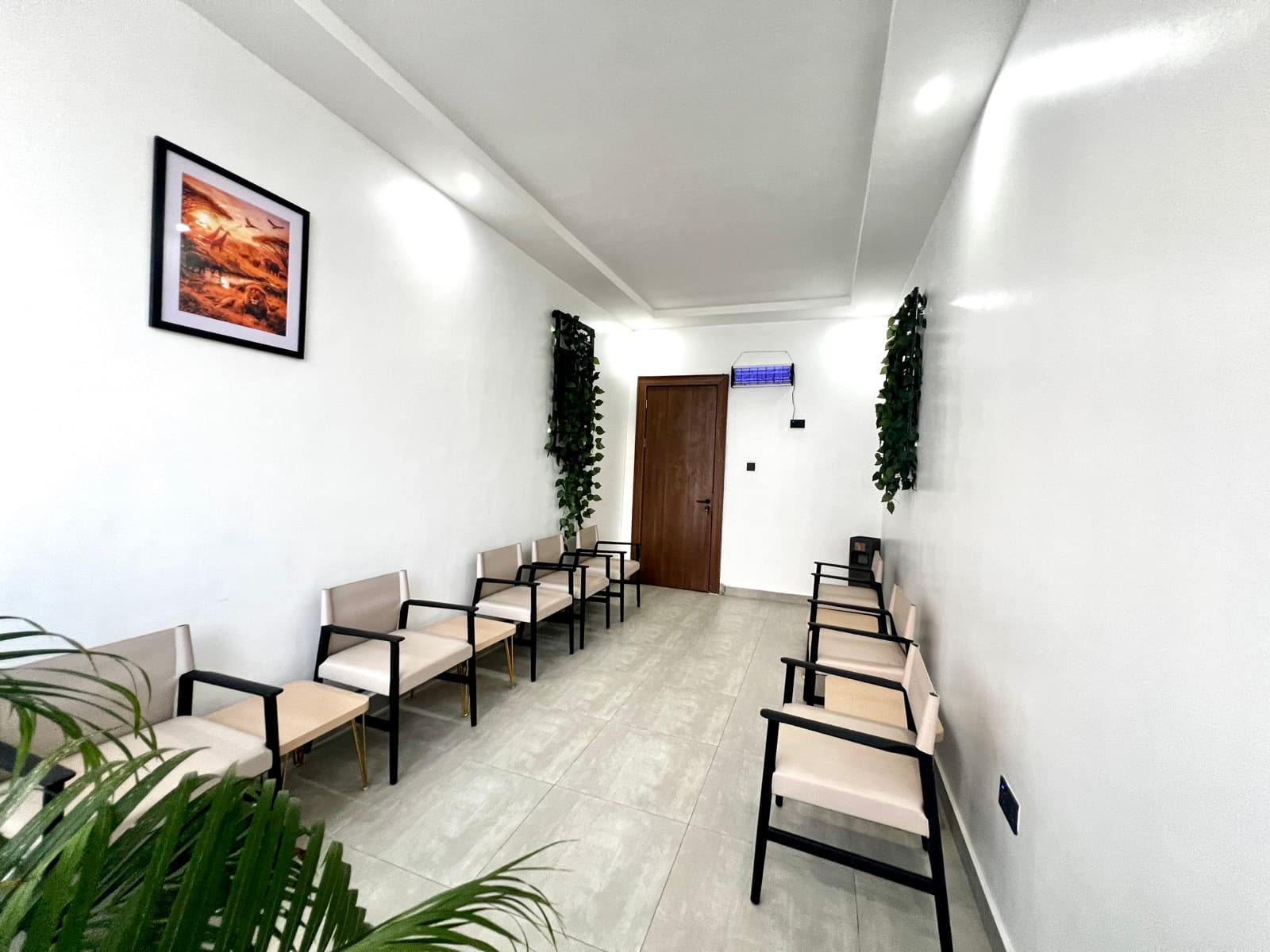 Waiting area with cushioned wooden chairs and trailing plants