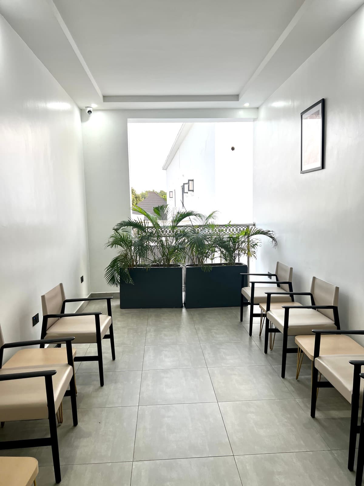 Waiting area with chairs along the wall and a planter at the end