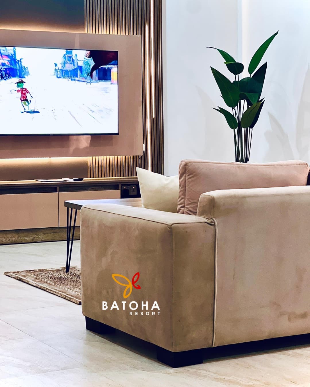 Close-up of a sectional sofa beside a TV wall and a tall indoor plant